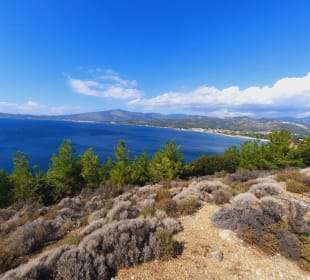Strand Potos (San Antonio Beach)