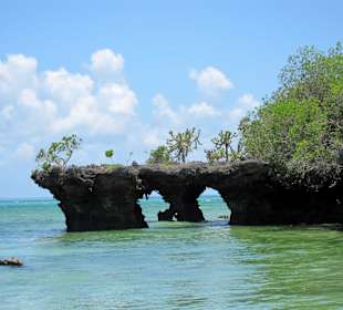 Fahrt zu den Mangroven