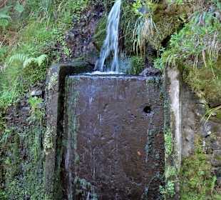 Quellen am Weg zum Wasserfall
