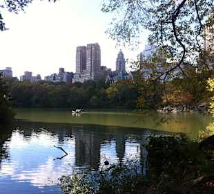 Central Park