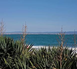 Blick von der Südpromenade