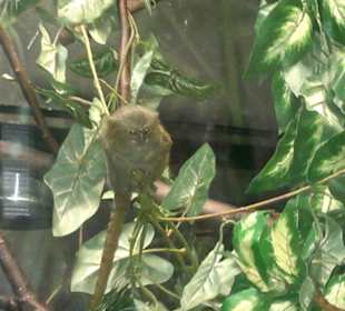 Zoo Olomouc