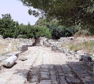 Westliches Ausgrabungsgelände