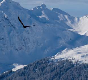 Gebirge
