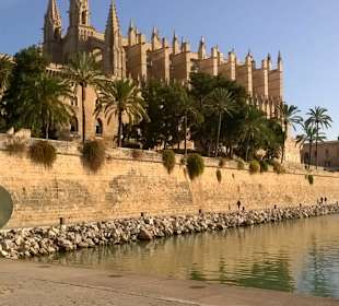 Ausflug nach Palma - Kathedrale la Seu