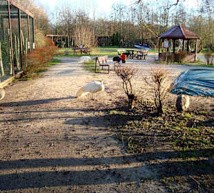 Vogelpark Niendorf
