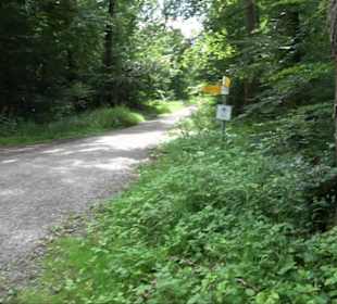 Sonnenaufgangs-Rundwanderung Rübgarten