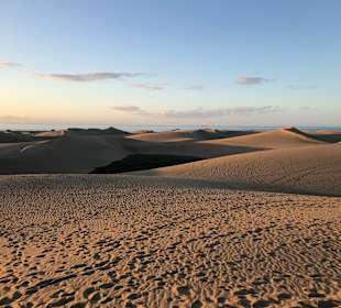 Dünen von Maspalomas