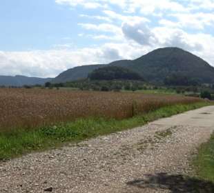 Hochgehnießen - Premiumspazierwanderweg