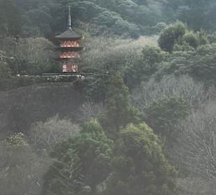 Kiyomizu-dera Tempel