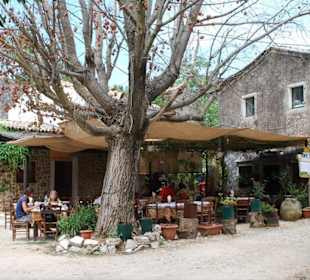 Taverne in Paleo Perithia