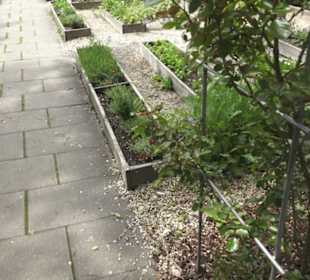 Benediktinerkloster Lorch