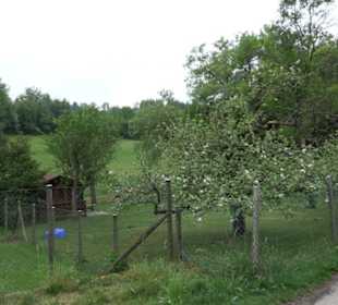 Naturinfopfad Weggental