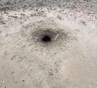 Badlands Ranch Store