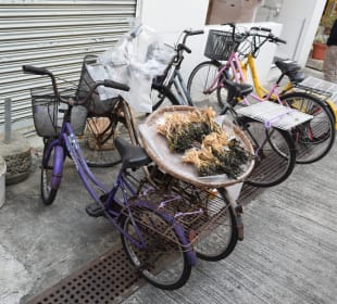 Fischerdorf Tai O