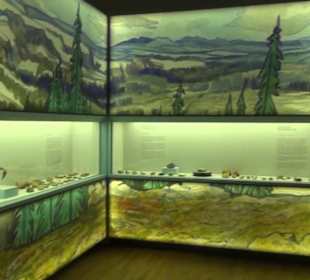 Niedersächsisches Landesmuseum