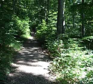 Ruine Hohenmelchingen