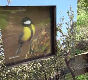 Naturerlebnisweg des NABU-Metzingen