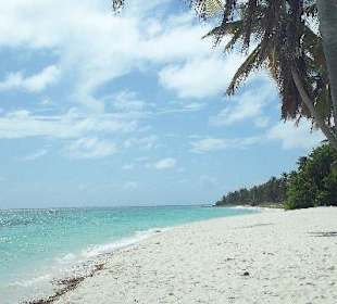 Saona