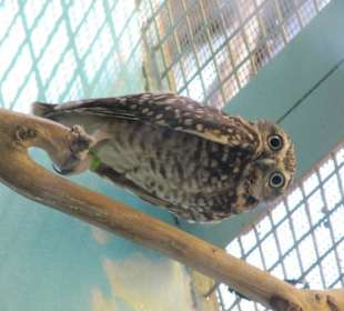 Washington Zoo