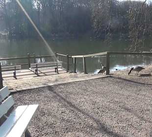 Botanischer Garten - Rombergpark