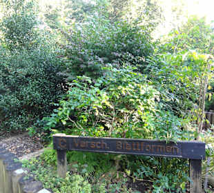 Rundgang durch den Blindengarten