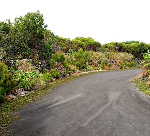 Inselrundfahrt Terceira