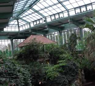 Regenwaldhaus