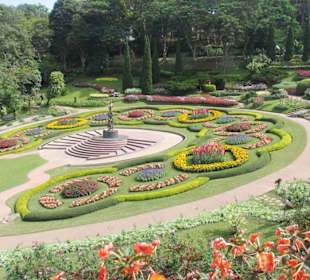 Doi Tung