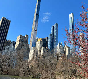 Central Park