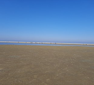 Strand Borkum