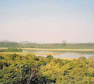 Yala Nat. Park
