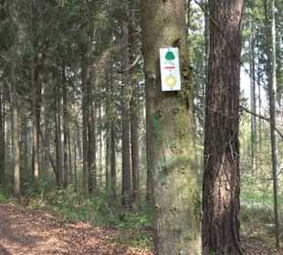 Wanderparkplatz am Waldlehrpfad