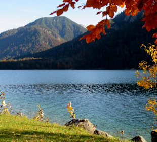 Blick über den See von Norden her
