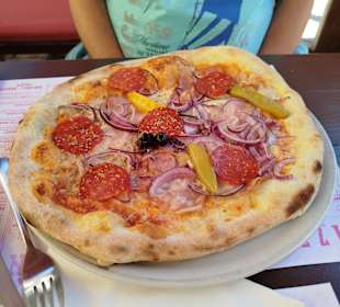 Gastro
