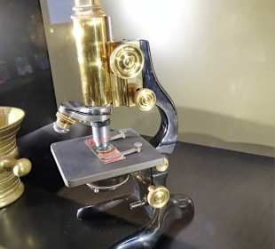 Impressionen aus dem Aquazoo Löbbecke Museum