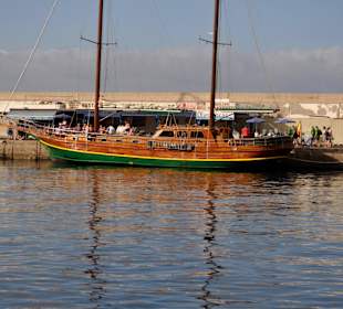 Delphin Safaritour von Morgan aus