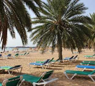 Strand Las Teresitas