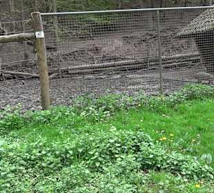 Walderlebnisweg Rottenburg