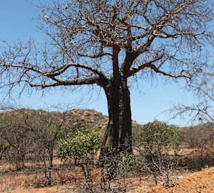 Tsavo East and West National Park