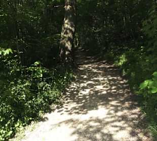 Burgruine Hohenstaufen