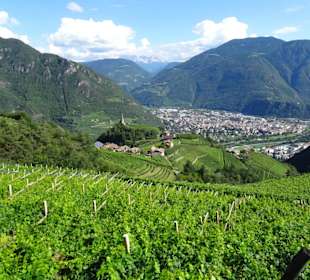 Ausblicke vom Wanderweg