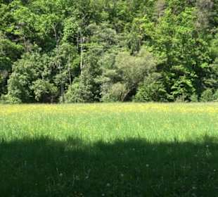 Wanderweg Sieben-Täler-Runde 