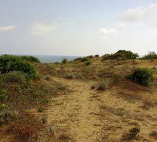 Gündogdu auf den Dünen oben