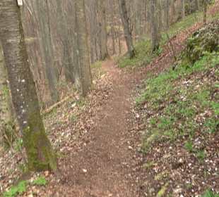 Wanderung rund um das Rusenschloss Gerhausen