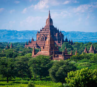 Pagodenfeld / Tempelfeld