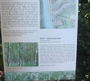 Impressionen Kräuterweg in Assmannshausen