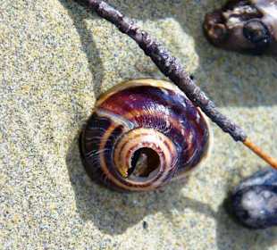 Ende September 2010 Inspirationen