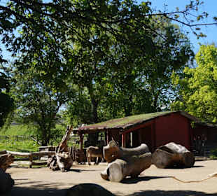 Zoo Arche Noah Grömitz