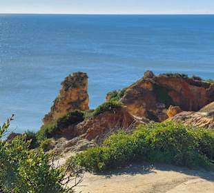 Seven Hanging Valleys Trail 